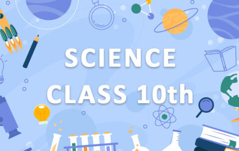 Class 10th Science